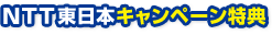 NTT�����{�L�����y�[�����T