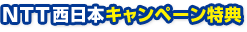 NTT�����{�L�����y�[�����T