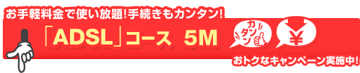 ����y�����Ŏg������I�葱�����J���^���I�uADSL�v�R�[�X 5M�@���g�N�ȃL�����y�[�����{��!