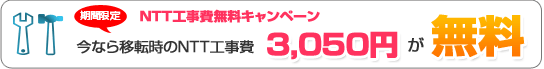NTT�H������L�����y�[��