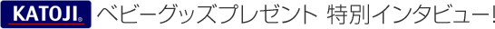 yKATOJIzxr[ObYLy[ ʃC^r[I