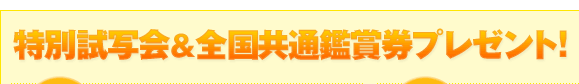 莎ʉ&Sʊӏ܌v[gI